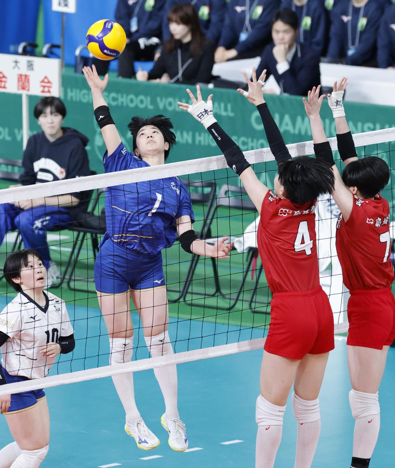 金蘭会対東九州龍谷　第2セット、スパイクを放つ金蘭会・徳元（撮影・山本朝陽）