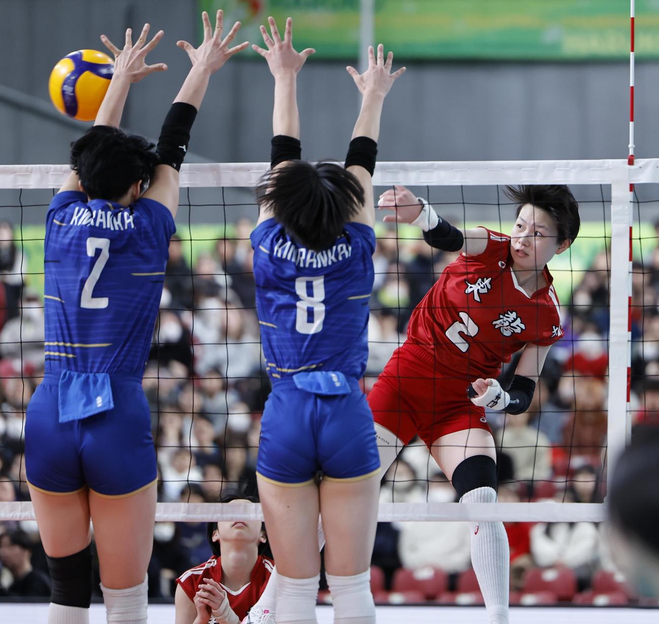 金蘭会対東九州龍谷　第4セット、スパイクを放つ東九州龍谷・藤崎（右）（撮影・山本朝陽）
