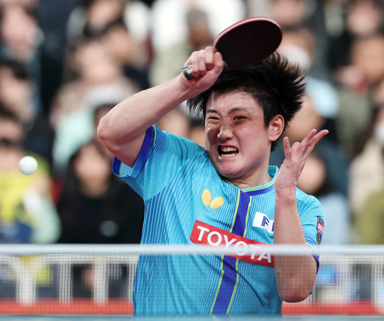 男子シングルス準々決勝で打ち返す張本（撮影・宮地輝）