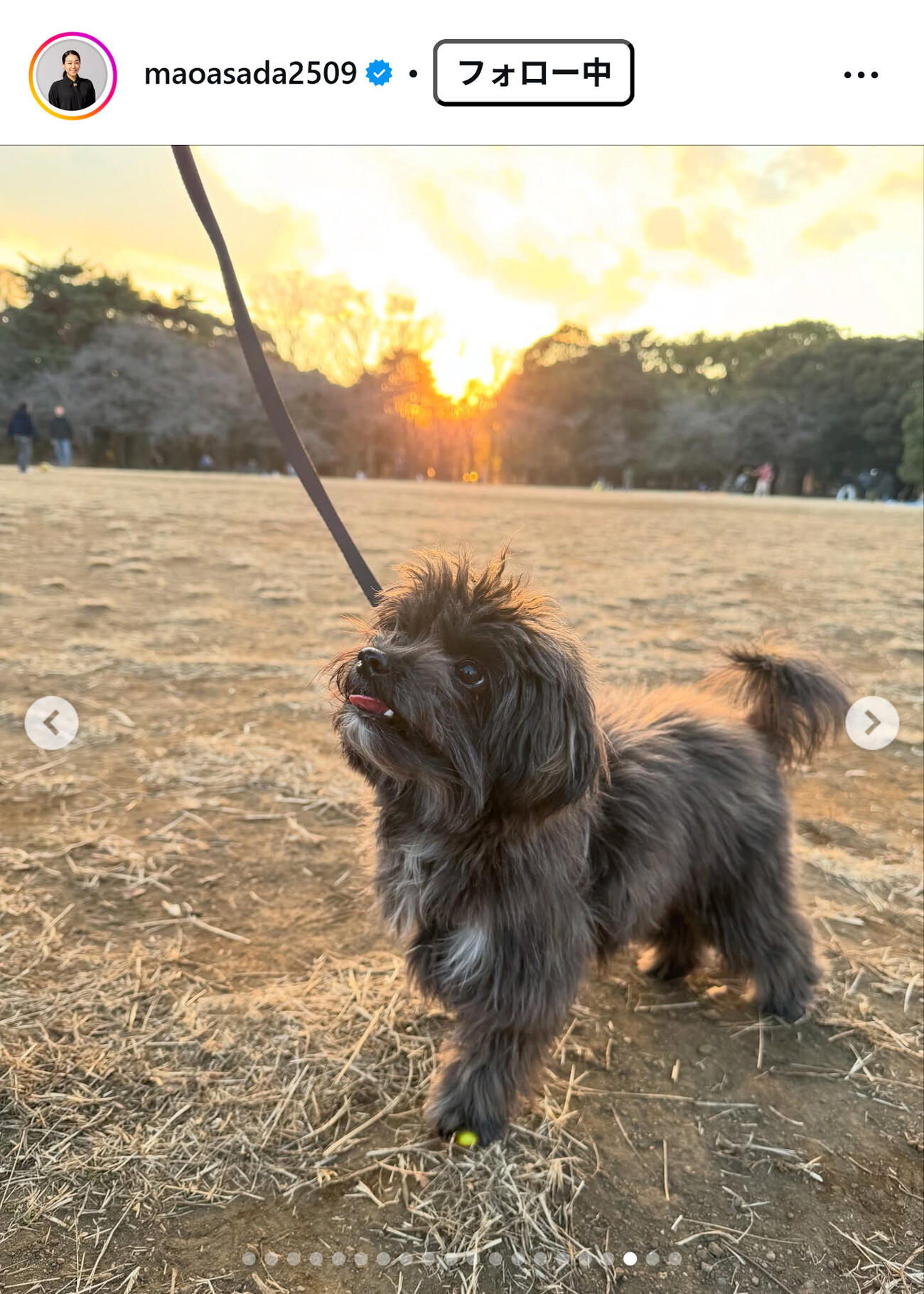 浅田真央さんのインスタグラムから