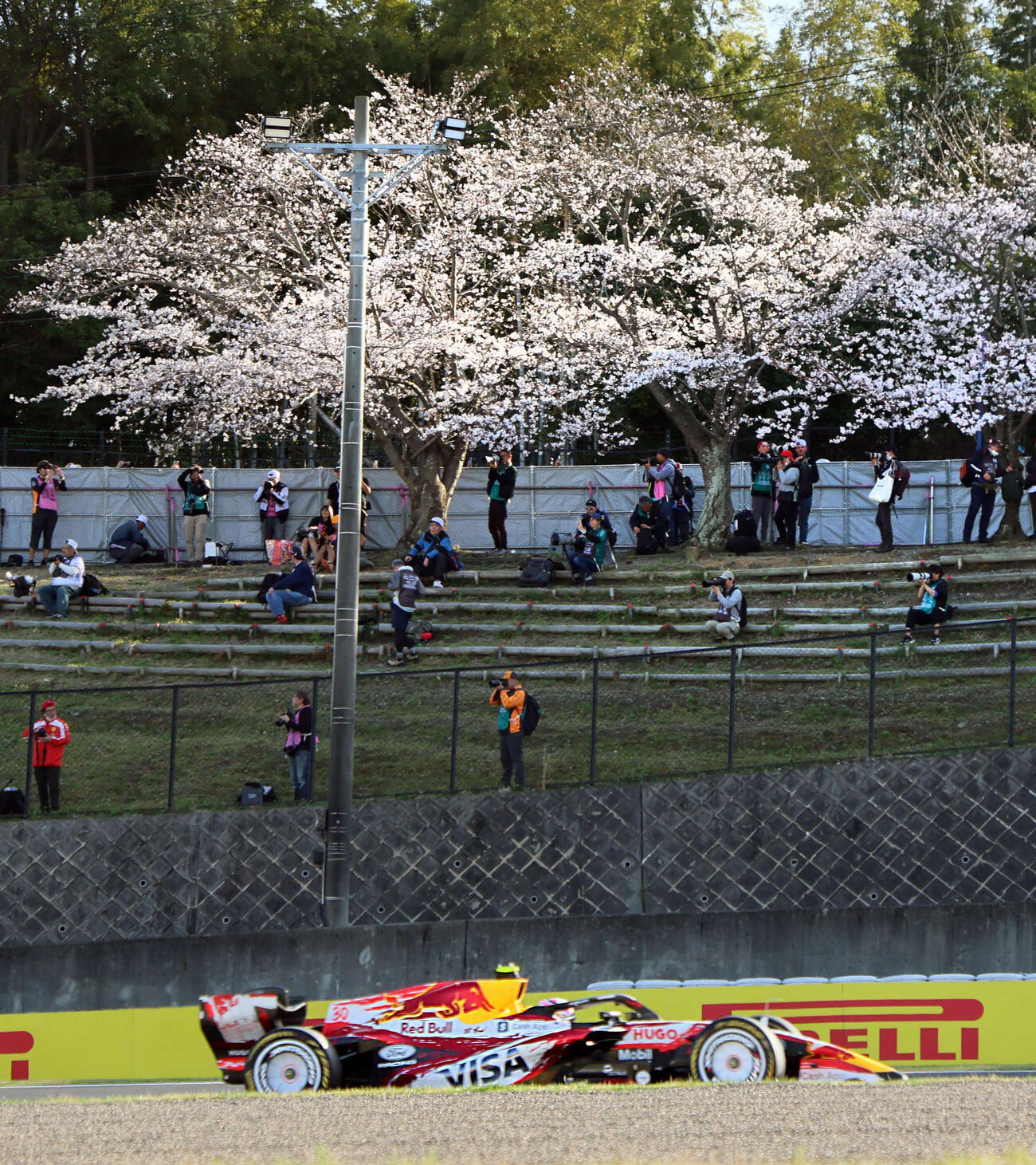 日本GP限定チェリーエディションのレーシングブルズ・ドライバーはローソン（撮影・宮崎幸一）