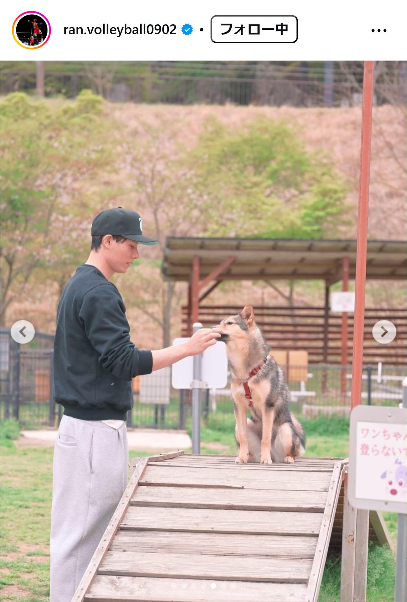 高橋藍のインスタグラムから