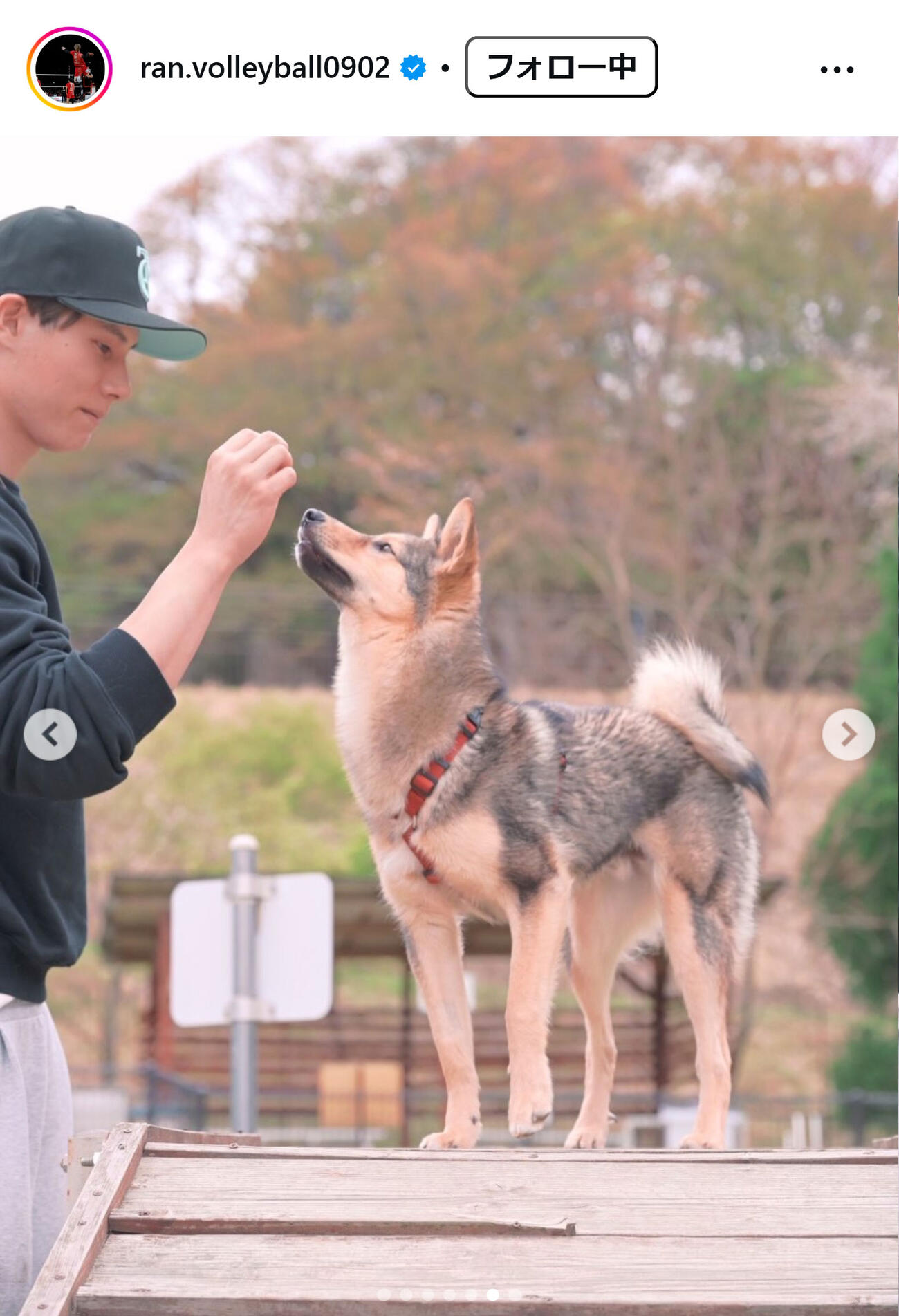 高橋藍のインスタグラムから