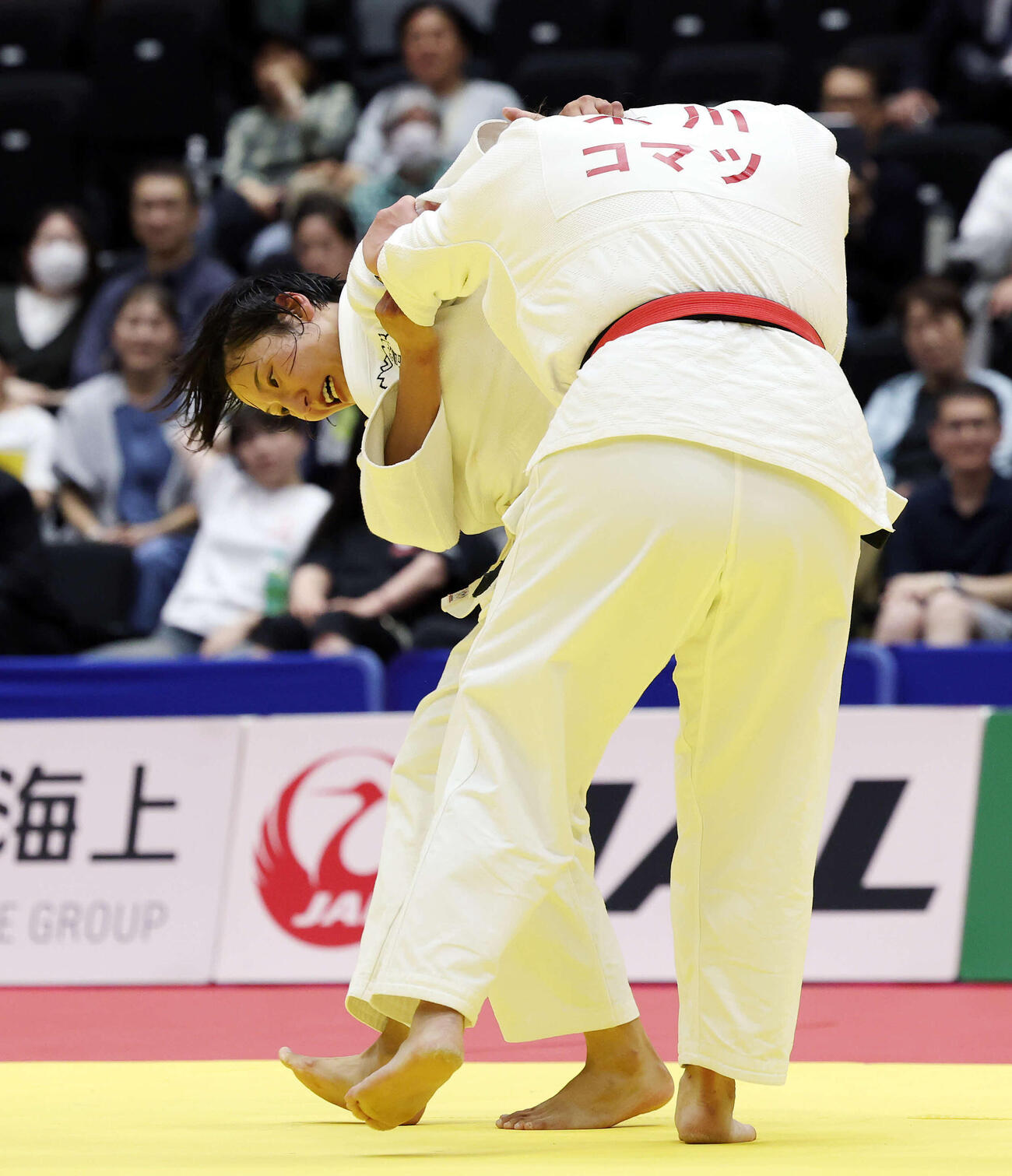 女子無差別決勝　米川明穂対渡辺聖子　果敢に仕掛ける渡辺（撮影・宮地輝）