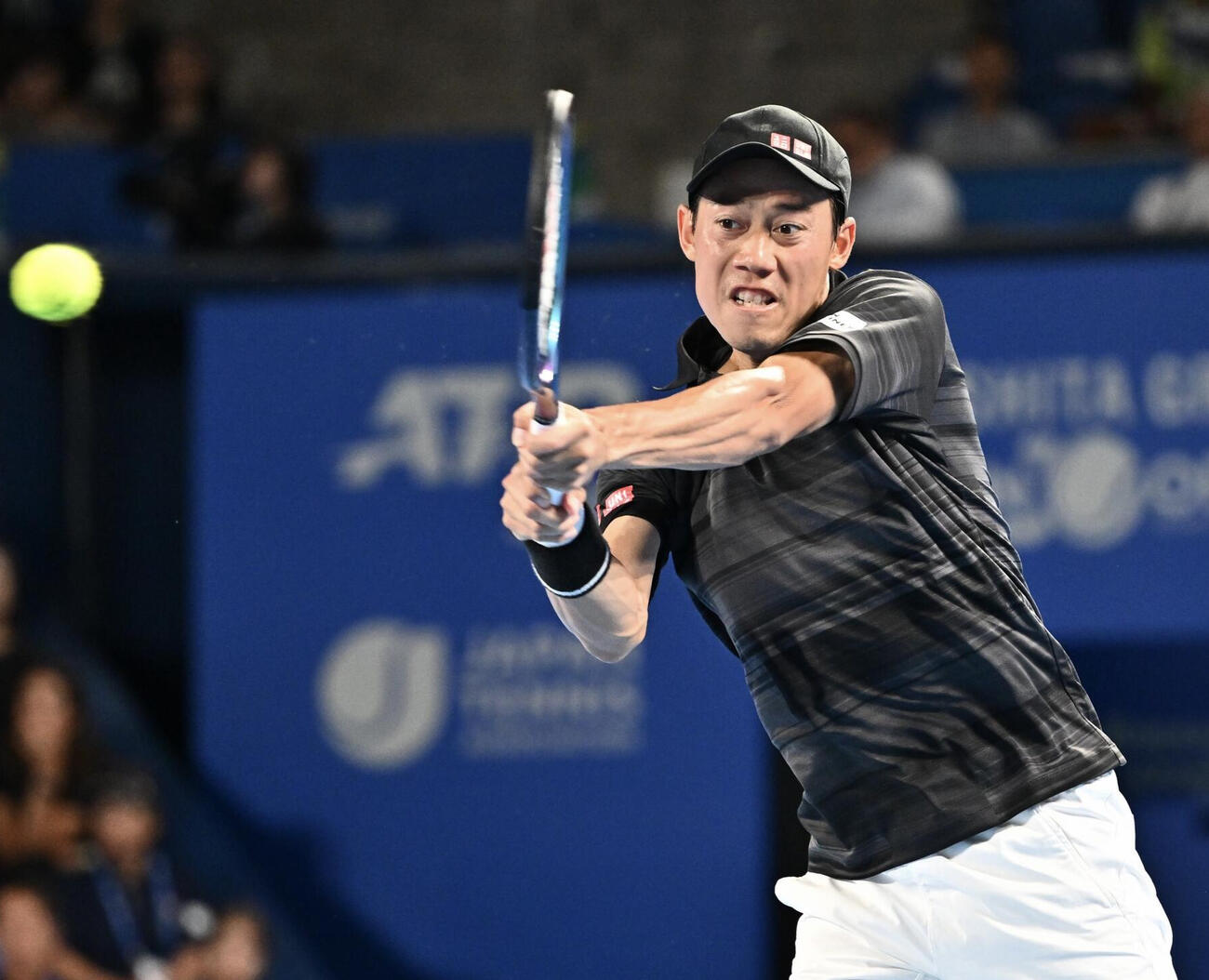 錦織圭（2024年撮影）