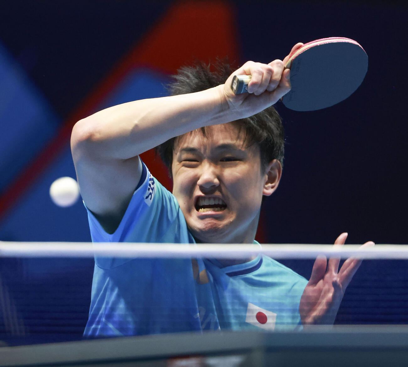 男子準々決勝のドイツ戦でプレーする張本智和＝ロンドン（共同）