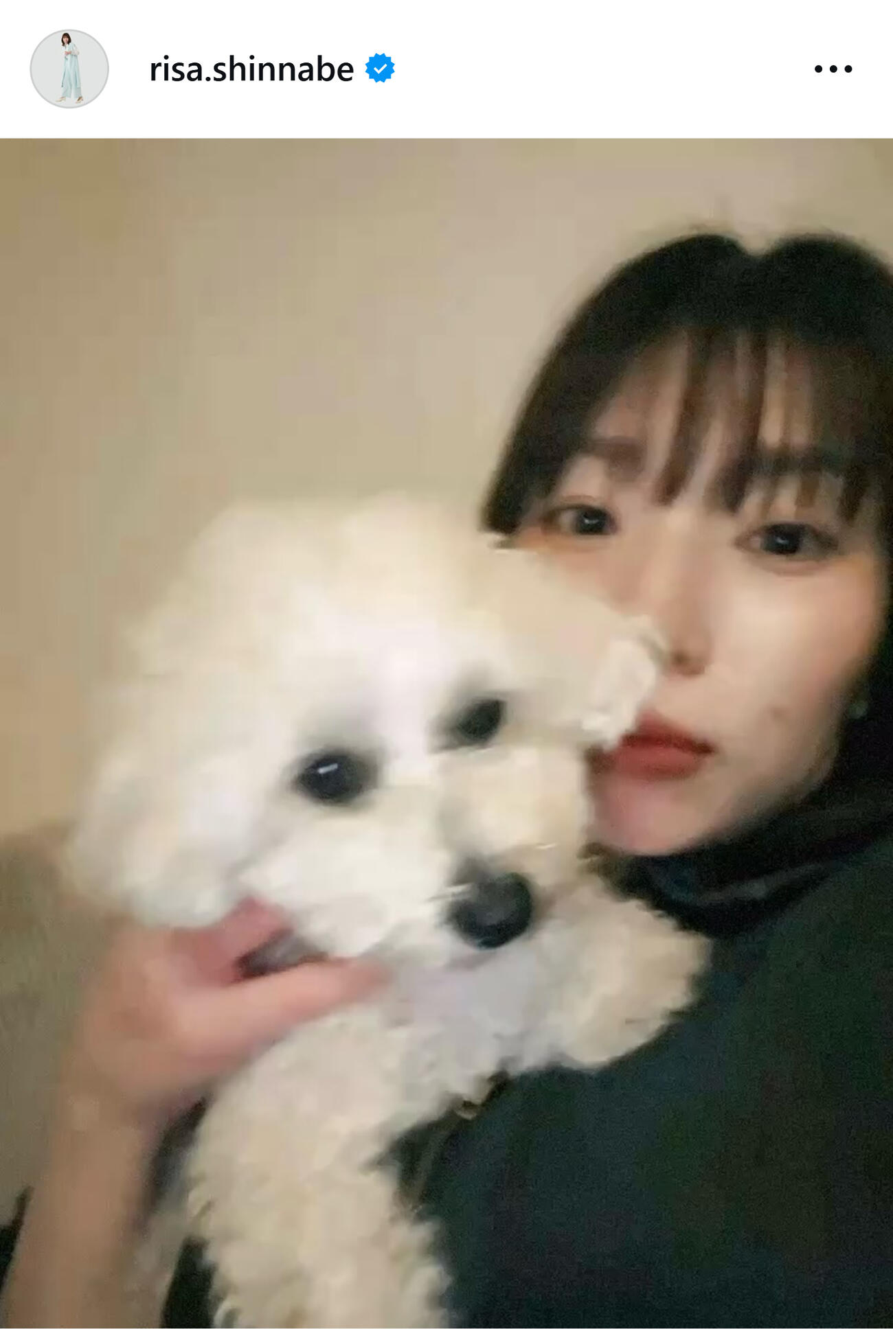愛犬の「ぽんず」を抱っこする新鍋理沙さん（新鍋理沙さんのインスタグラムから）