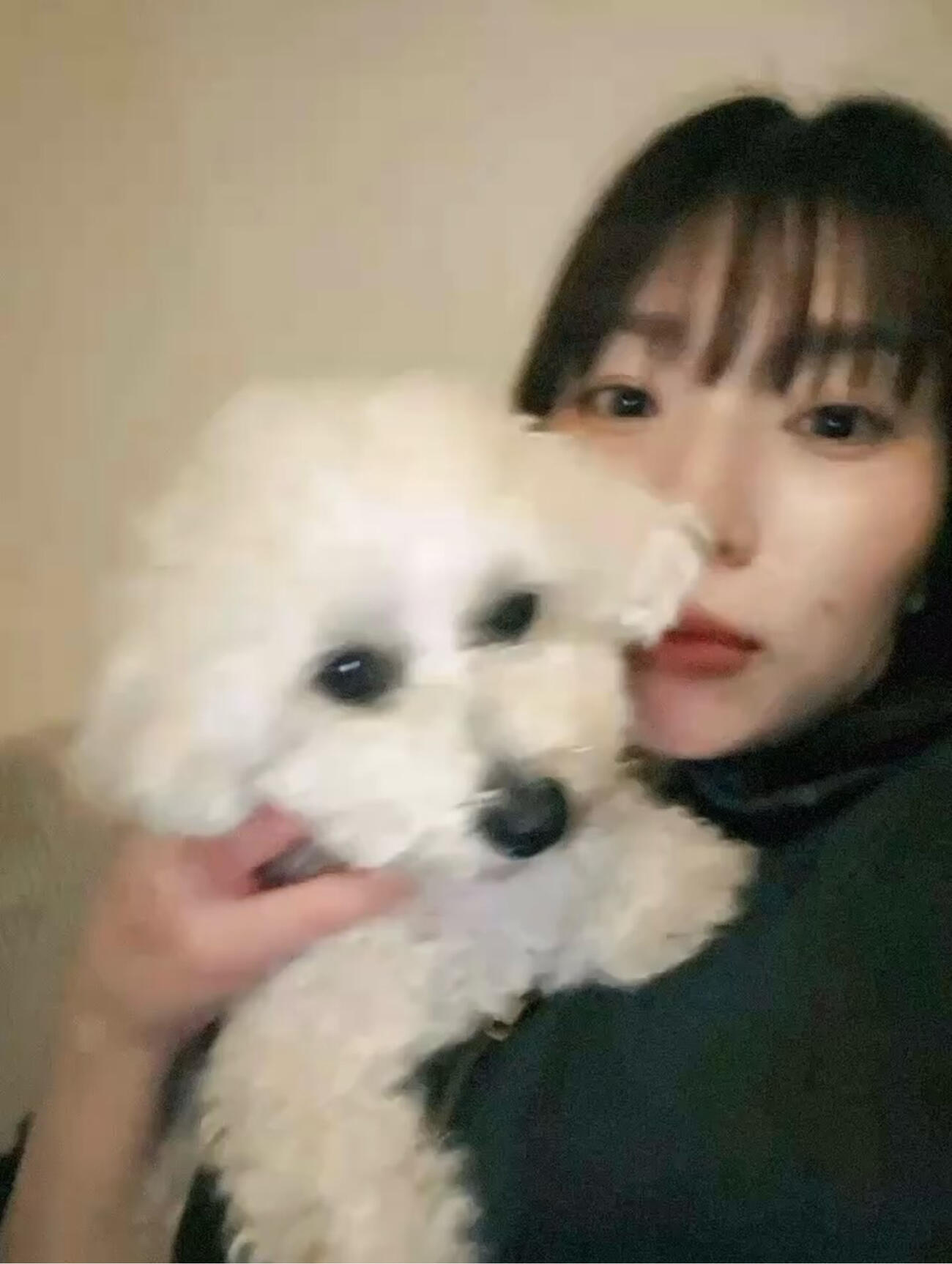 新鍋理沙さんのインスタグラムから