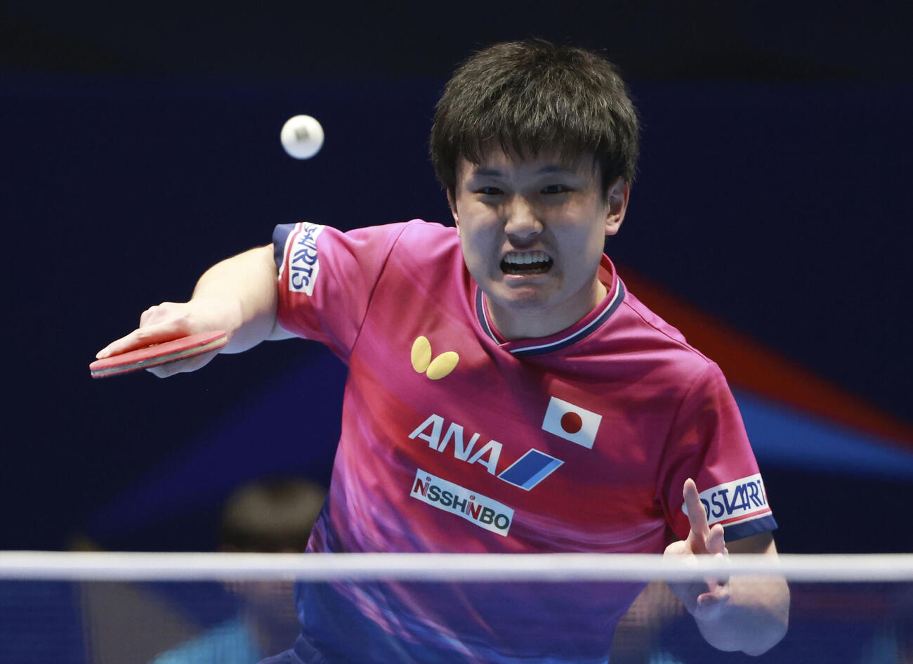 男子準決勝の台湾戦でプレーする張本智和＝ロンドン（共同）