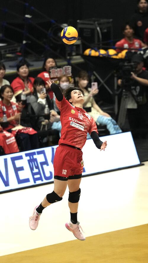 サントリー対大阪B 第1セット、サーブを放つサントリー高橋藍(撮影・小島史椰)