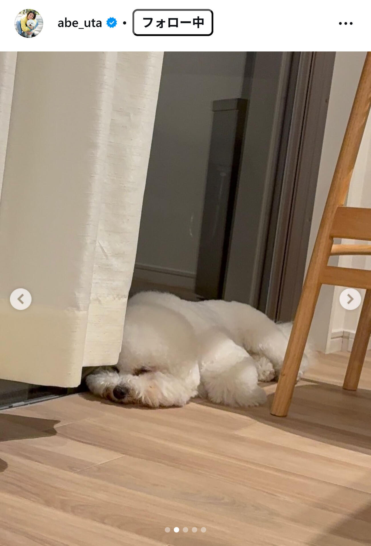 阿部詩のインスタグラムから