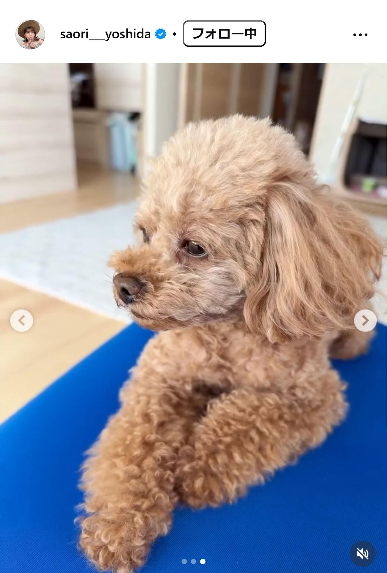 吉田沙保里さんのインスタグラムから