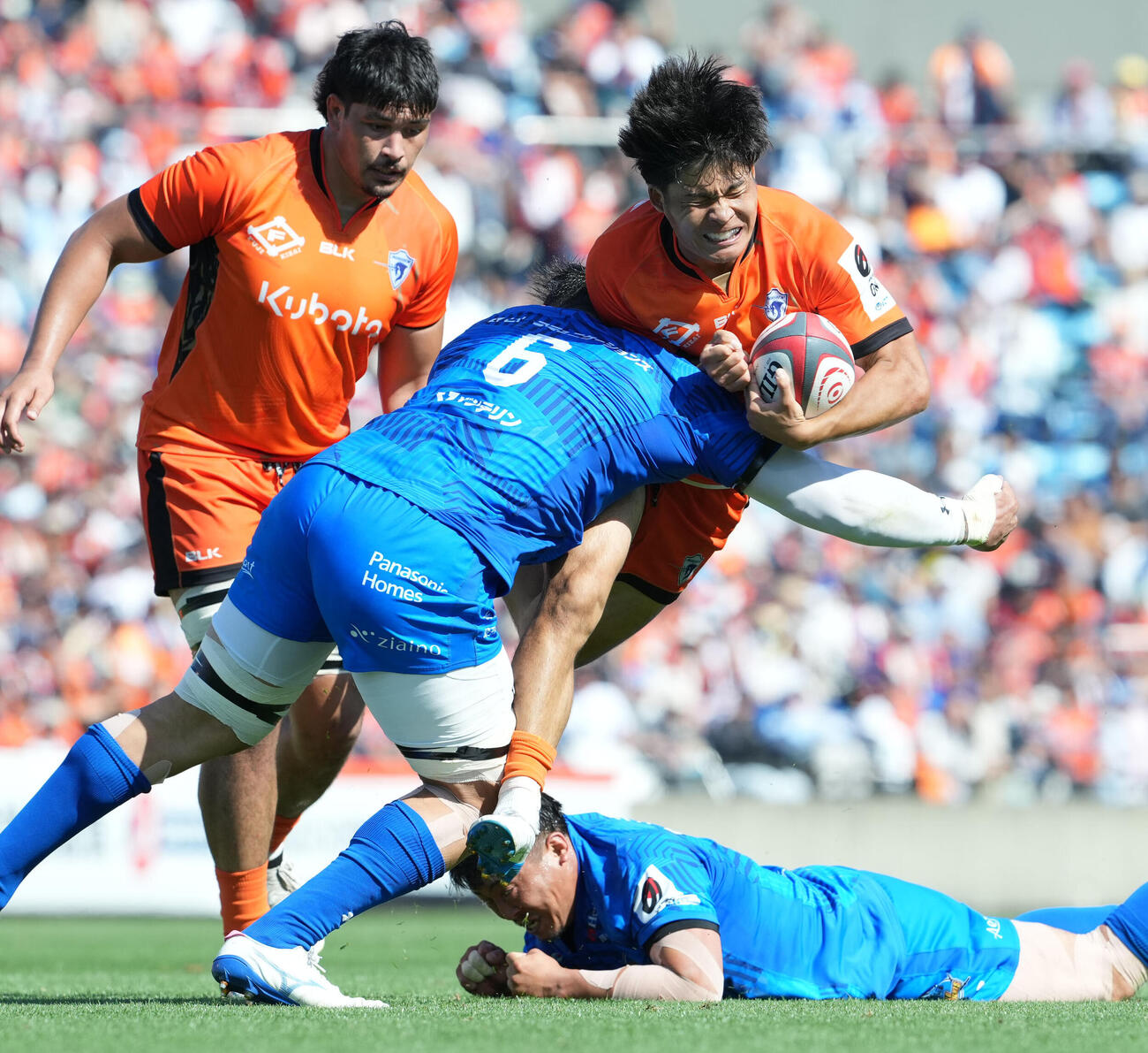 埼玉対東京ベイ　後半、相手のタックルを受け顔をしかめる東京ベイ木田晴斗（撮影・たえ見朱実）