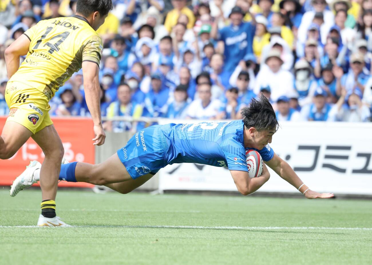 NTTジャパンラグビーリーグワンプレーオフ3位決定戦　東京SG対埼玉　後半、トライを決める埼玉・楢本幹志朗（撮影・黒川智章）