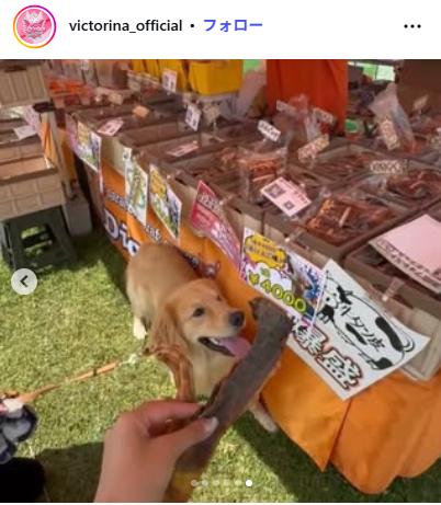 野中瑠衣のインスタグラムから