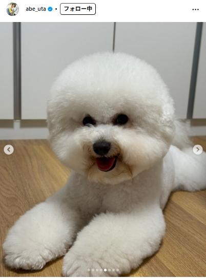 阿部詩のインスタグラムから