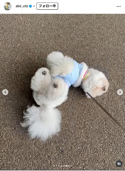 阿部詩のインスタグラムから