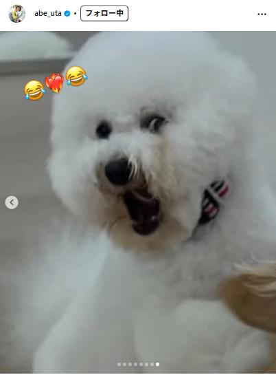 阿部詩のインスタグラムから