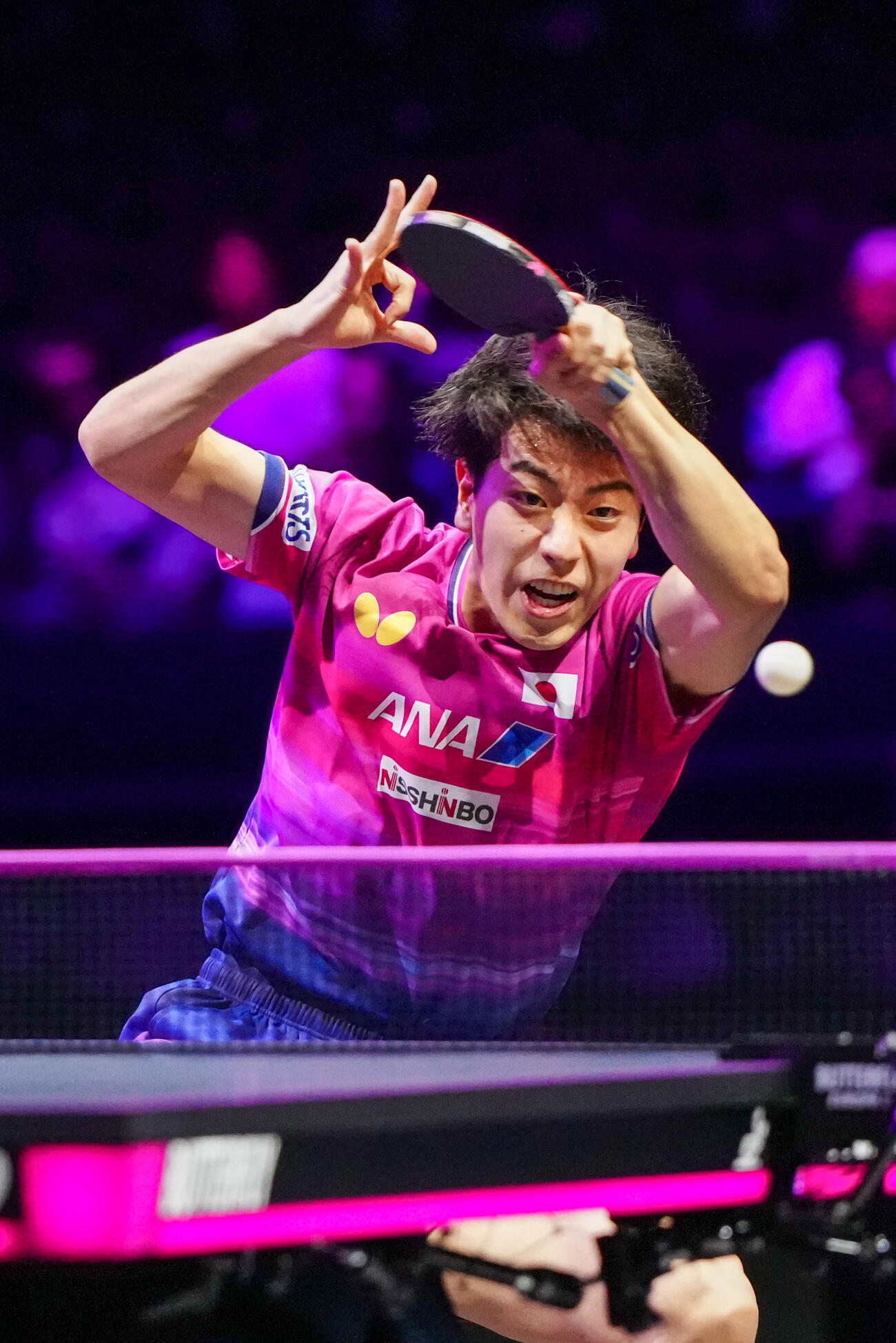 男子シングルス2回戦でポルトガルのジェラウドと対戦する篠塚大登（撮影・江口和貴）