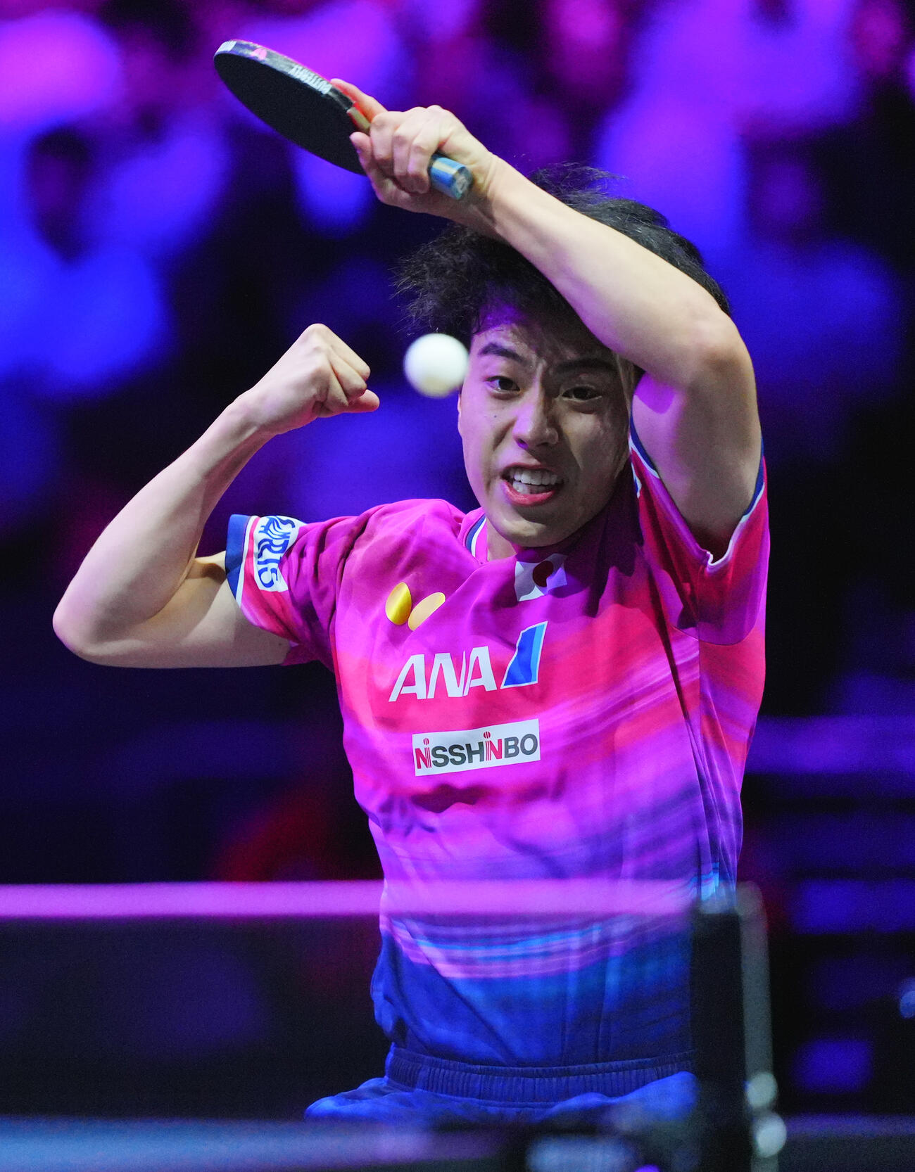 男子準々決勝でフェリックス・ルブランと対戦する篠塚大登（撮影・垰建太）