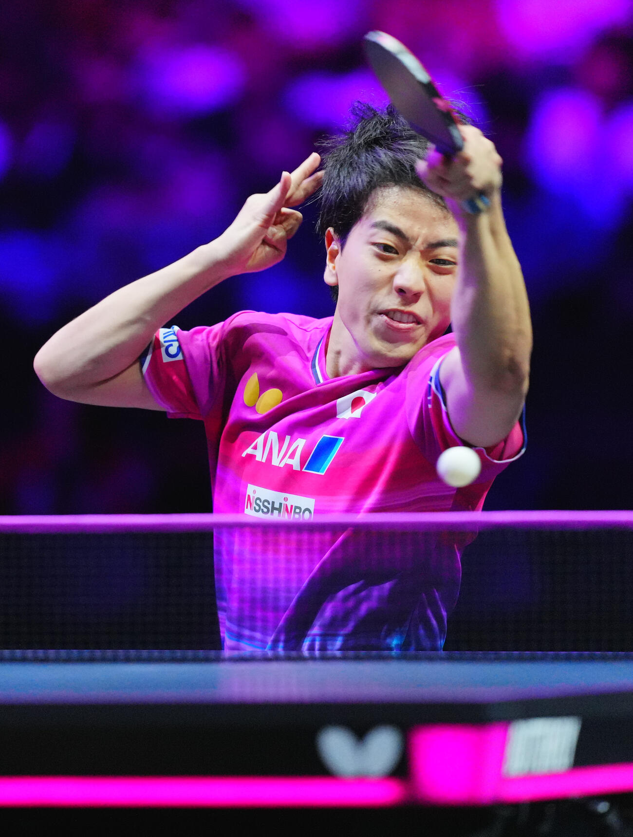 男子準々決勝でフェリックス・ルブランと対戦する篠塚大登（撮影・垰建太）