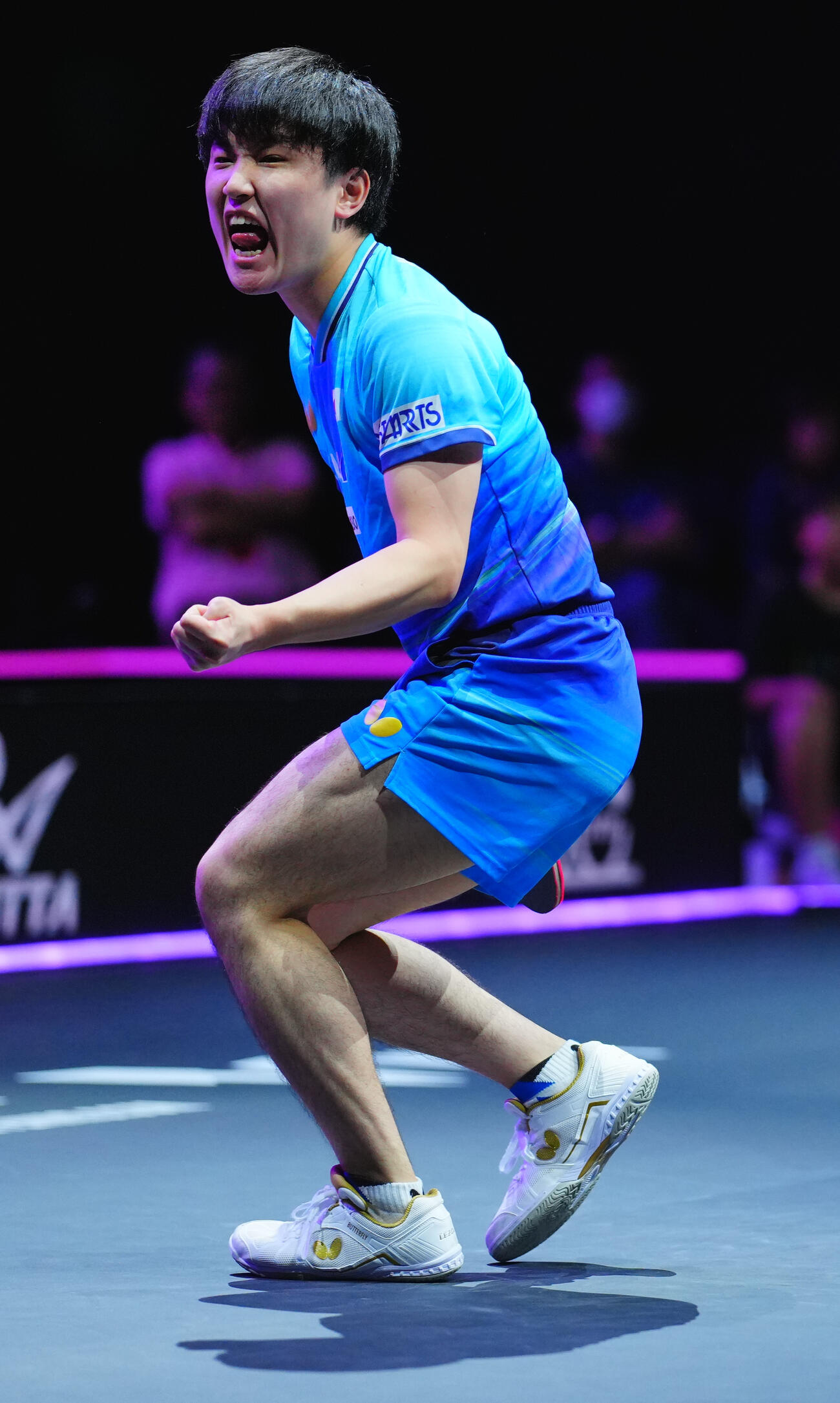 男子準々決勝でアレクシス・ルブランと対戦する張本智和（撮影・垰建太）