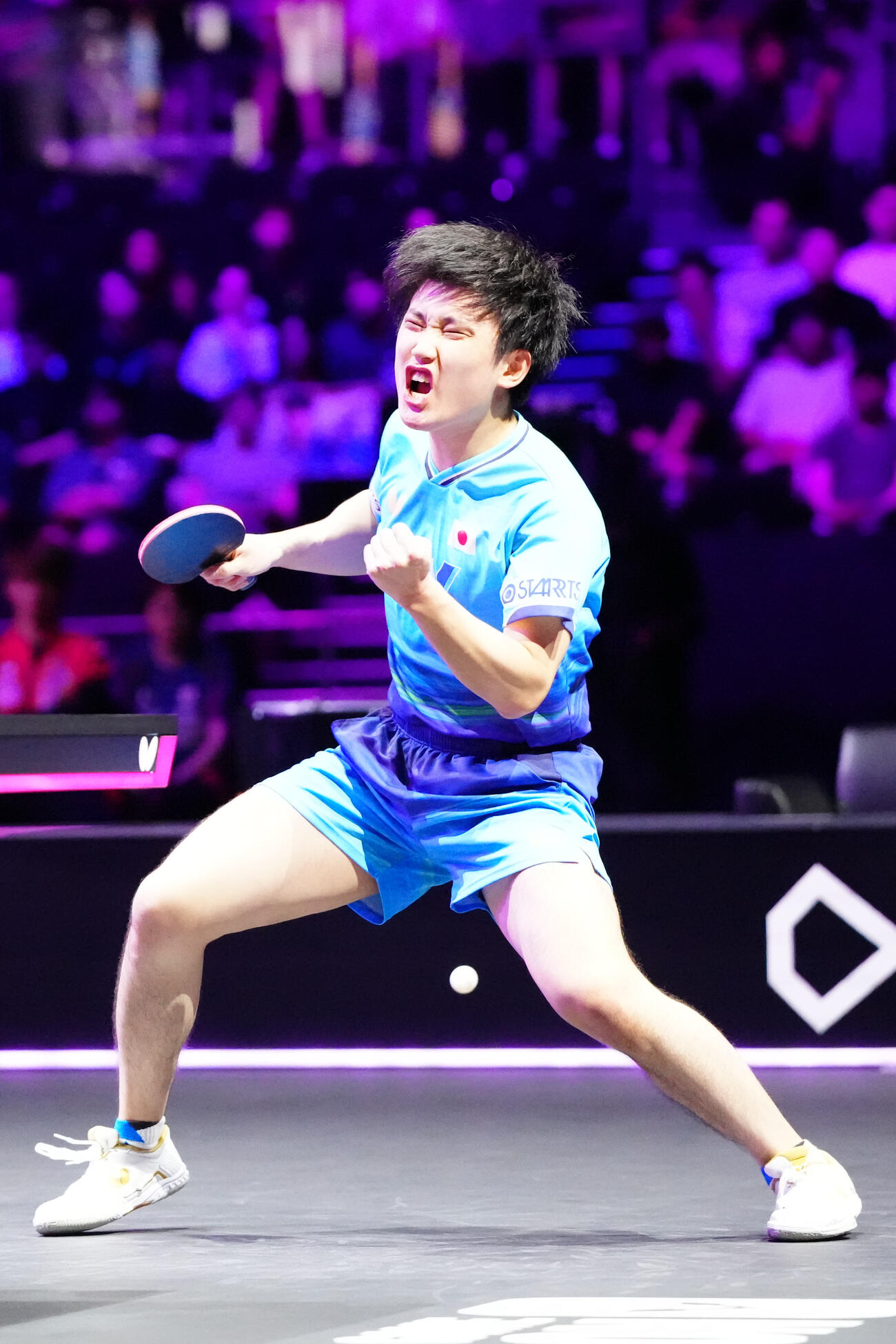 男子決勝　韓国のオ・ジュンソンから第2ゲームを奪い、ガッツポーズを見せる張本智和（撮影・江口和貴）