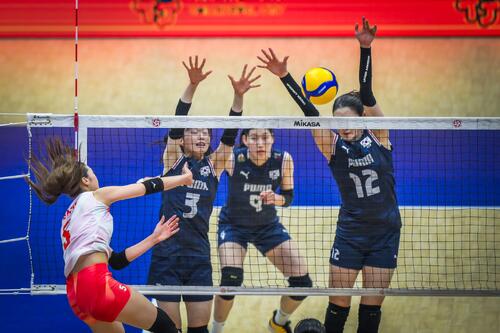 日本女子、韓国戦(C)AVC Women Volleyball Continental Championship