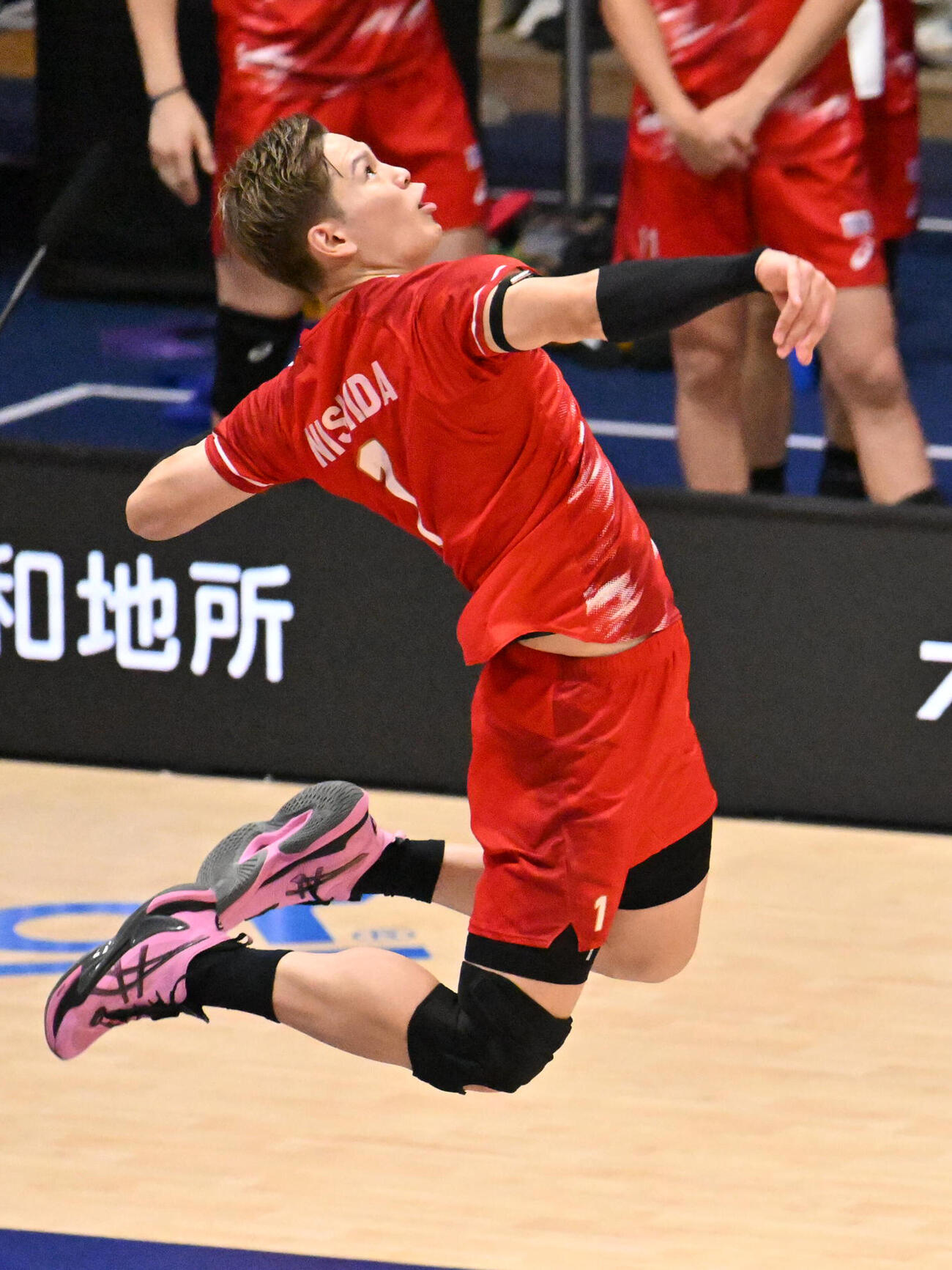 日本対オーストラリア　第2セット　サーブを放つ西田有志（2026年9月8日撮影）