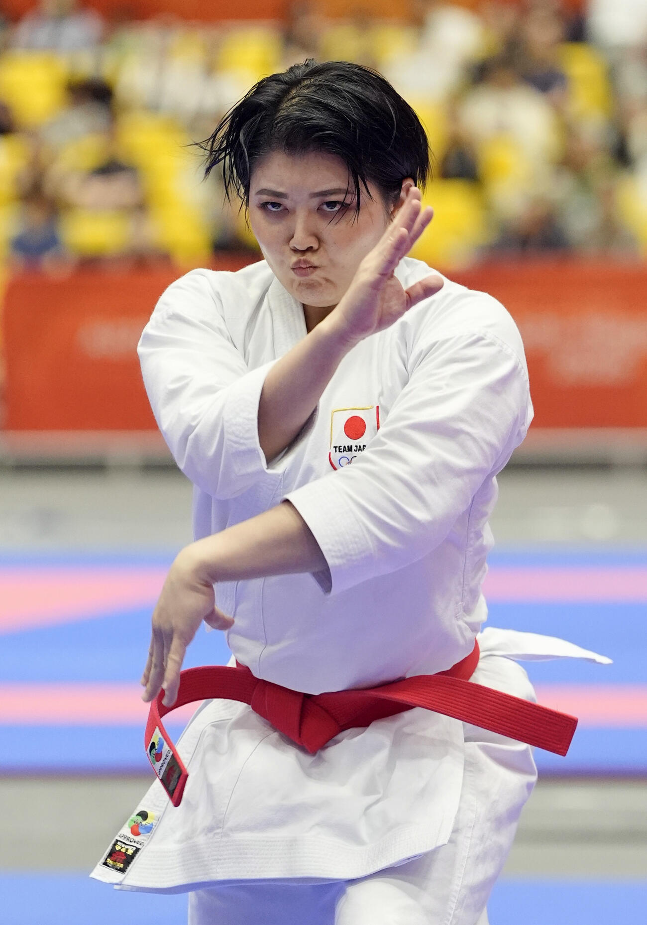 女子形個人決勝　演武する尾野真歩。金メダルを獲得した＝豊橋市総合体育館（共同）