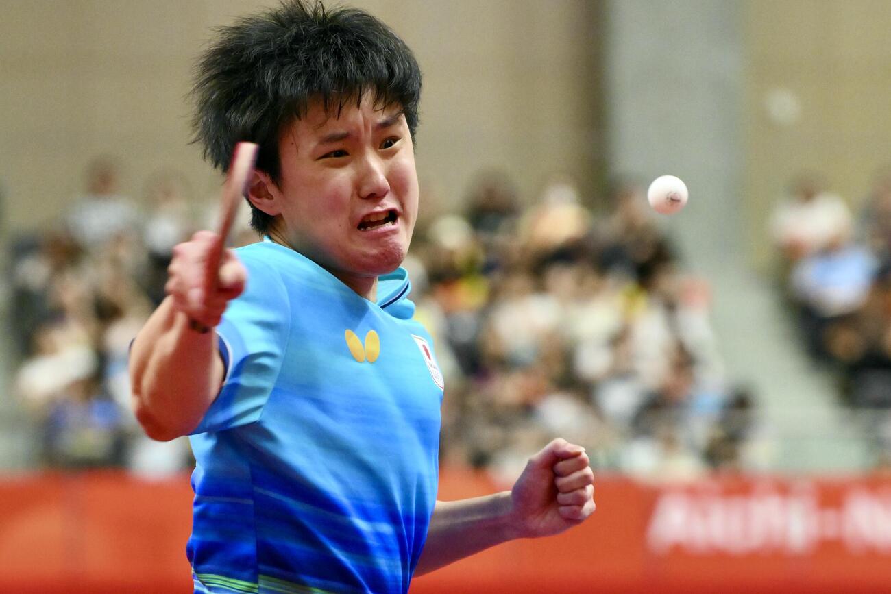 男子団体決勝　日本対中国　気合いの入った表情で打ち返す張本智和（撮影・滝沢徹郎）