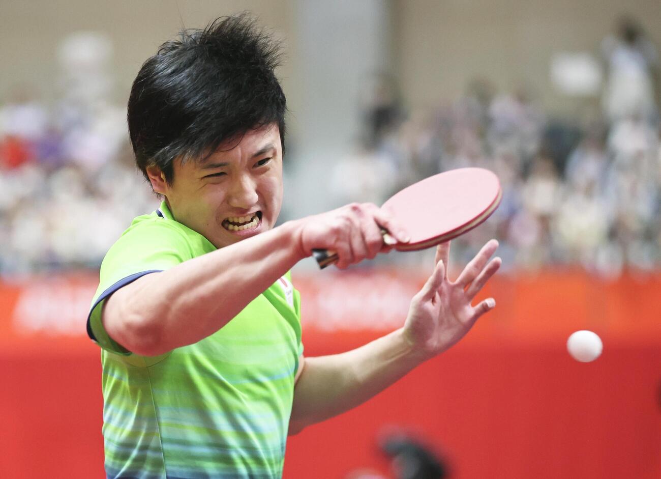 男子シングルス準々決勝　イラン選手と対戦する張本智和＝豊田市総合体育館（共同）