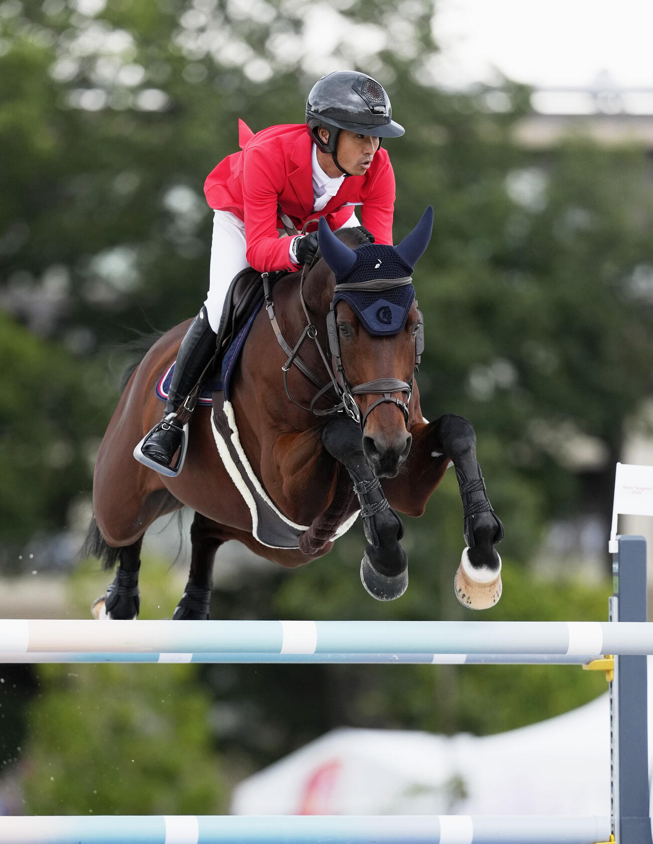 障害馬術個人B決勝　競技する杉谷泰造（共同）