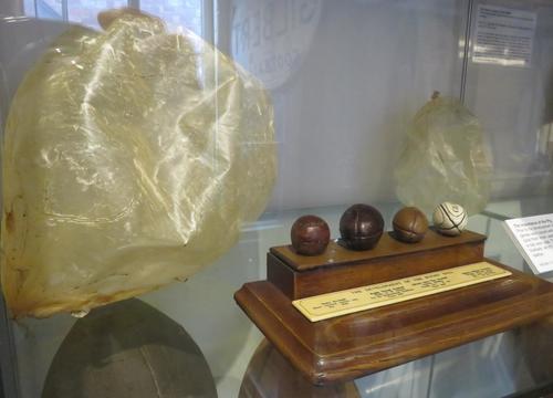 エリス博物館に展示されている、ラグビーボールの材料だった豚の膀胱（撮影・峯岸佑樹）
