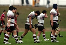 秋田中央に敗れた萩工・萩商工フィフティーンは号泣(撮影・梅根麻紀)