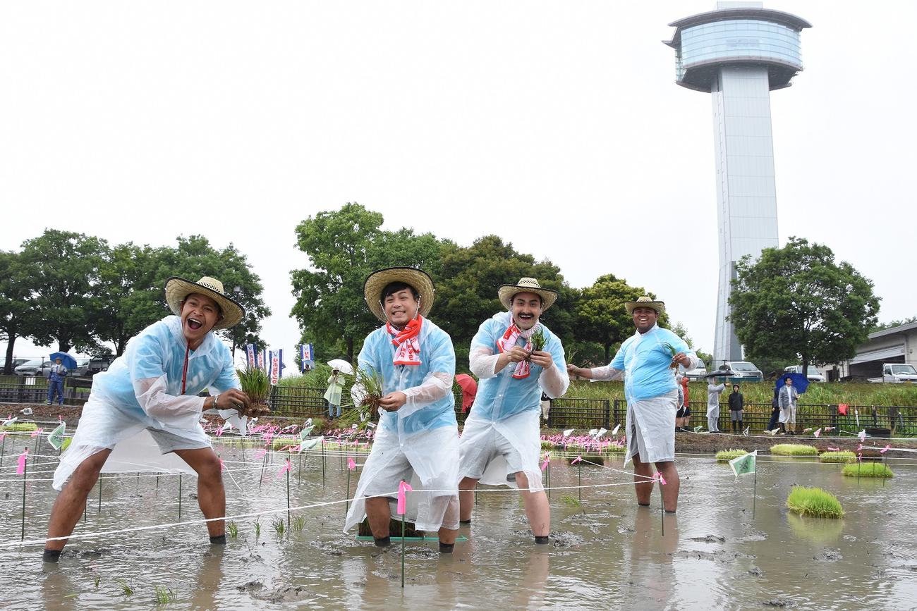 田植えを行うお笑いコンビ、マテンロウのアントニー（右）ら（行田市提供）