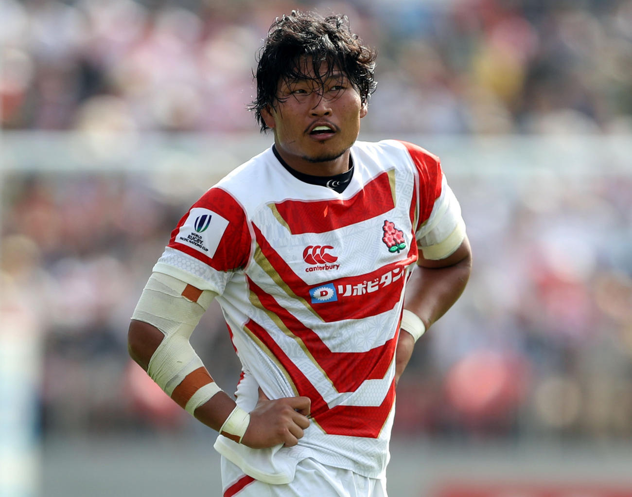 プロップ稲垣啓太