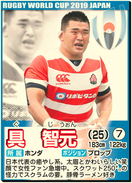 具智元