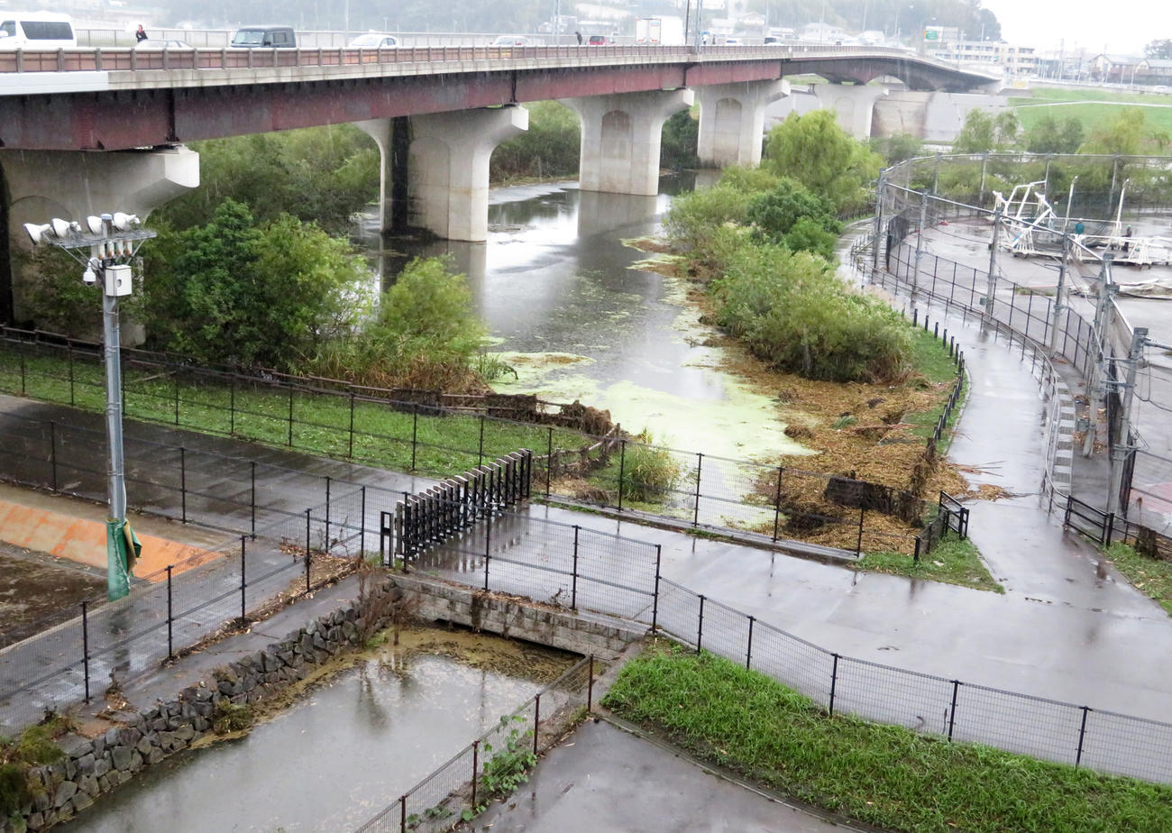 スコットランド戦から一夜明け、水が残る遊水地（撮影・峯岸佑樹）