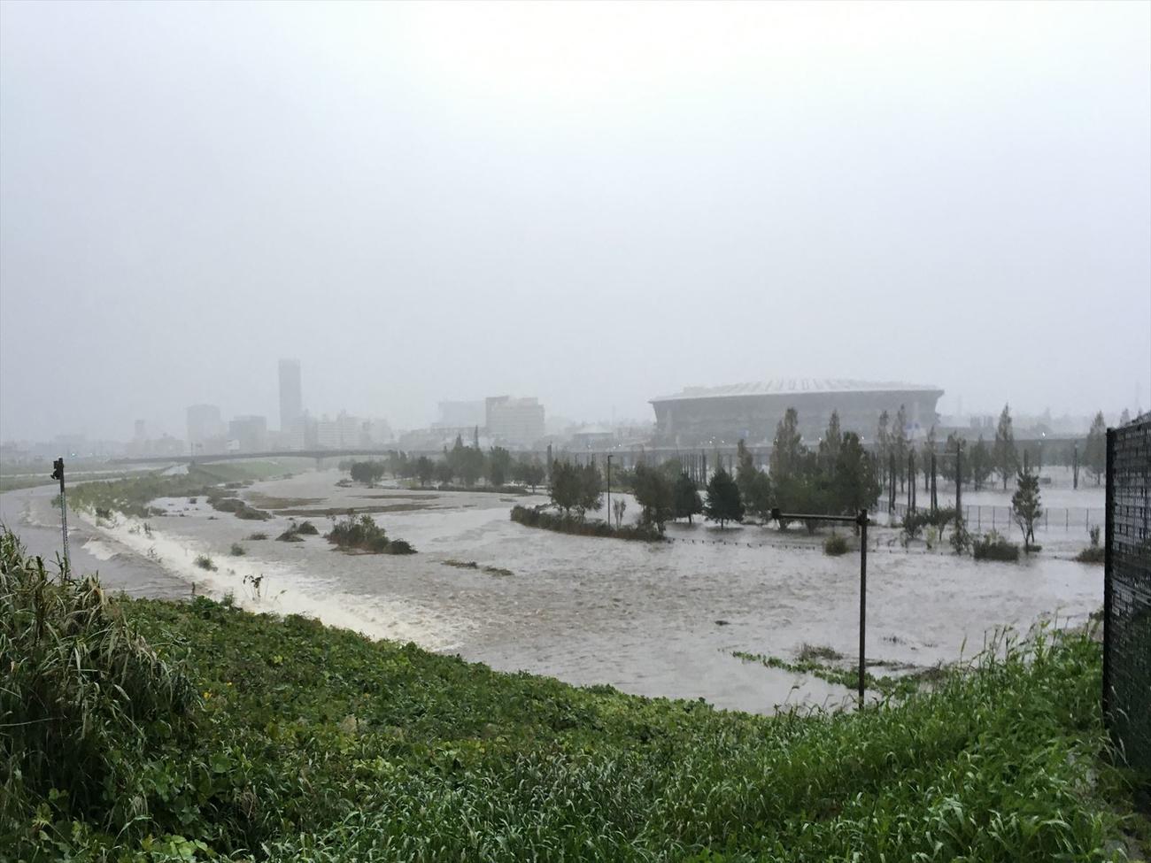 12日午後、鶴見川から大量の泥水が流れる遊水地（新横浜公園管理事務所提供）
