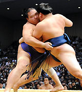 朝赤龍を寄り切りで破り４勝目を挙げた魁皇（撮影・岡本肇）