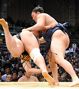 安美錦を上手投げで破る白鵬（撮影・岡本肇）