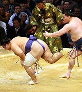 白鵬は魁皇を突き落としで破る(撮影・藤尾明華)