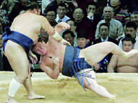 白鵬は下手投げで琴光喜に敗れる(共同)