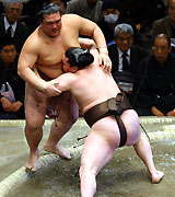 稀勢の里（奥）の胸に顔をうずめながら寄り切る白鵬（撮影・鈴木豊）