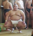 朝稽古でそんきょの姿勢をとる琴勇輝
