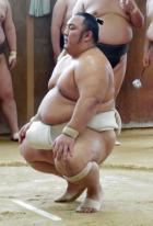 朝稽古でそんきょの姿勢をとる琴勇輝