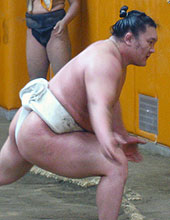 初場所に向けて初げいこをする横綱白鵬