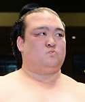稀勢の里写真
