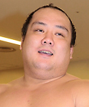 北太樹写真